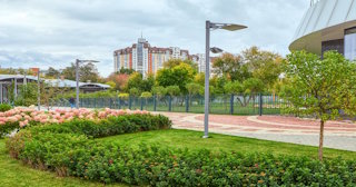 Профессиональное озеленение улиц в Ухте в октябре