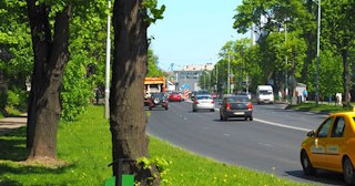 Посадка деревьев и кустарников в Ухте — стоимость от 1215 руб.